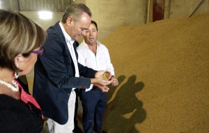 AFabra_arroz_Catarroja