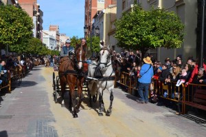 caballos_moncada