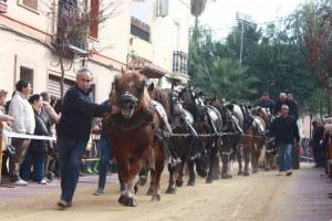 san anton 2_burjassot