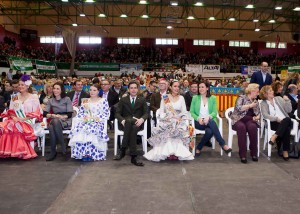 dia andalucia 2_mislata