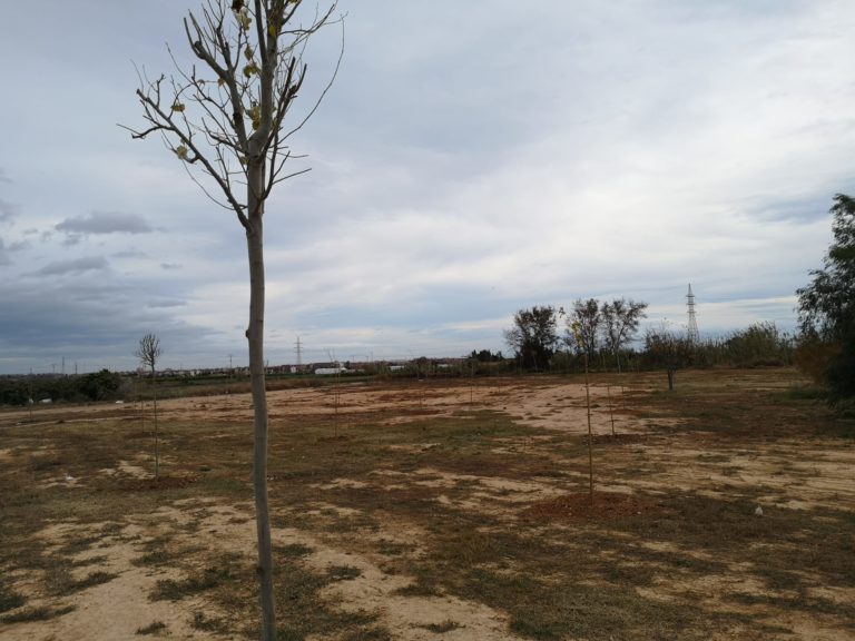 Xirivella planta 150 árboles en un antiguo vertedero