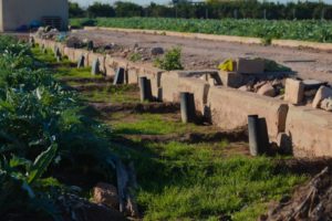 Article de Néstor Campos Bokokó, veí de Benetússer.
