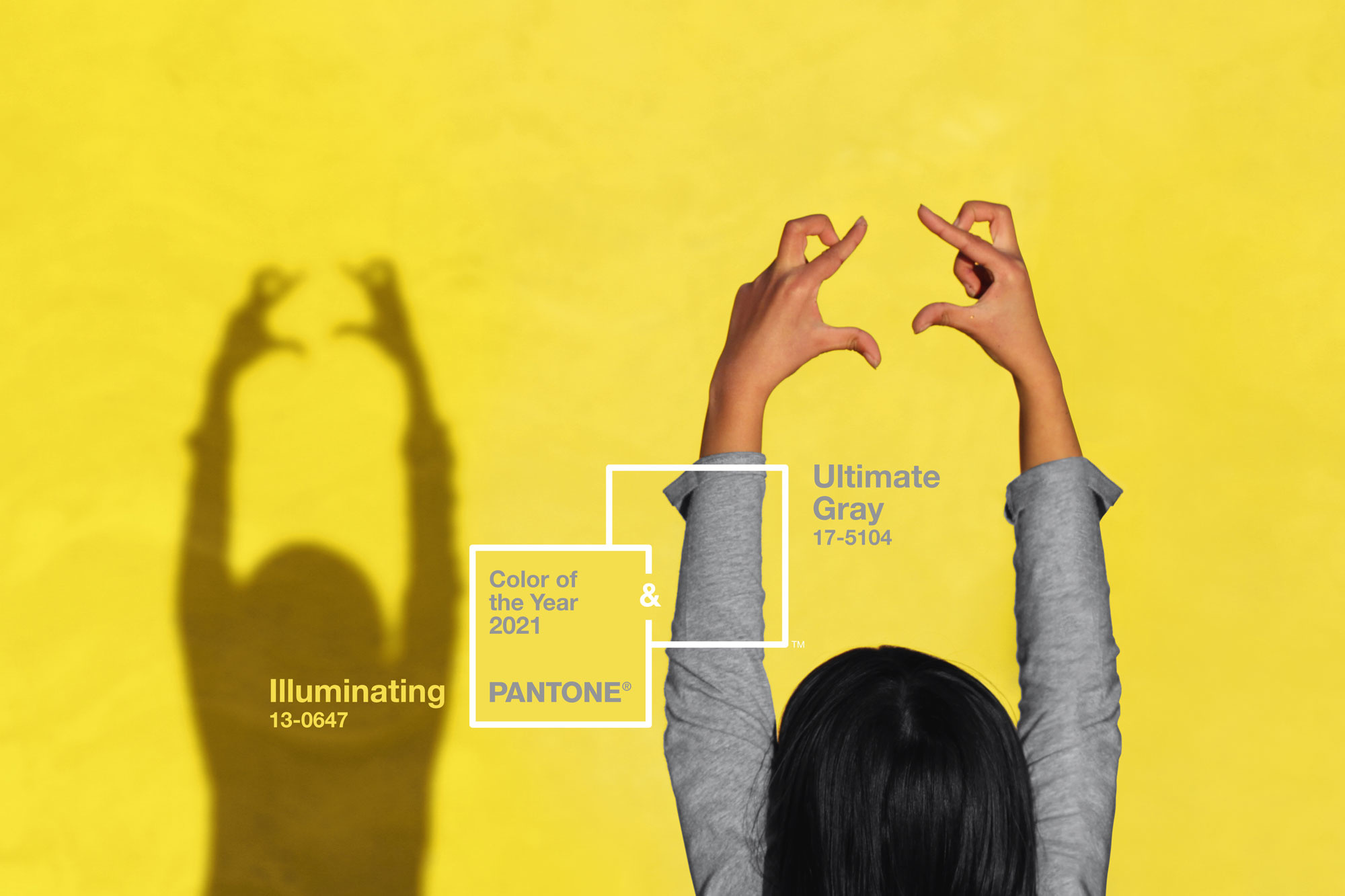 Color Pantone 2021 - Moda