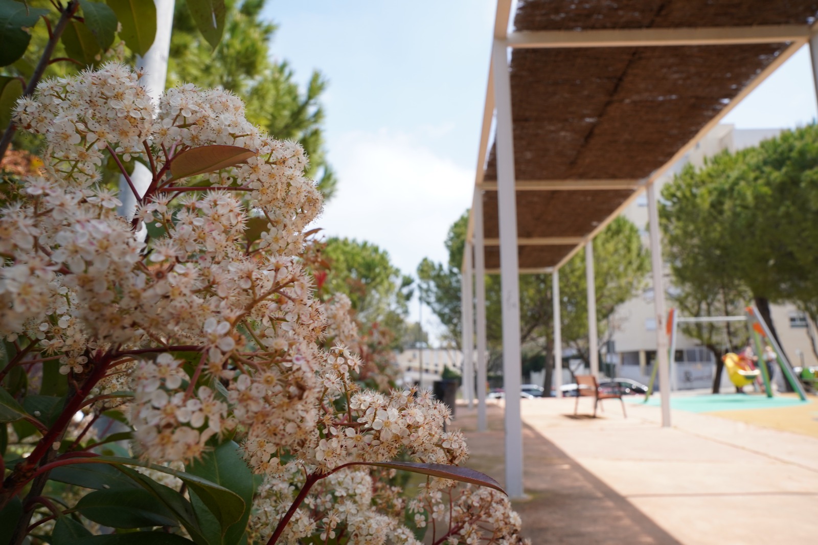 galardón de Viles en Flor