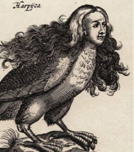 Jesús Piquer Bestuer.